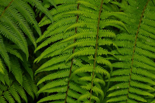 Web-séries interactives : le divertissement de demain ?